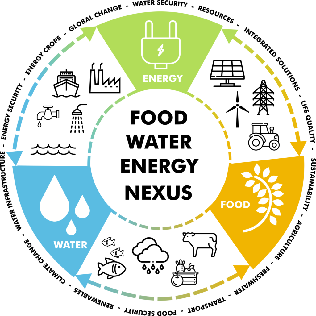 Food water. Energy food.